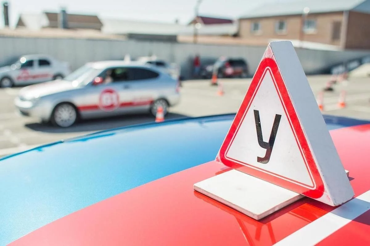 Справка для водительского удостоверения 003 в/у